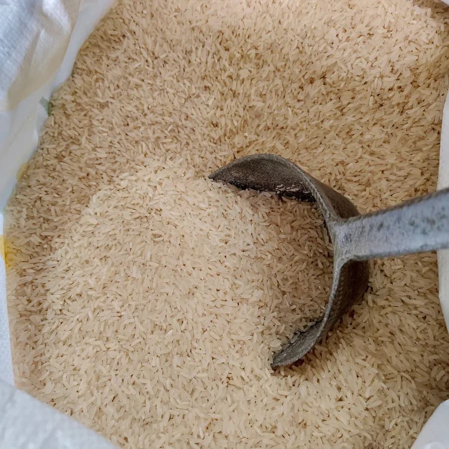 Raw rice in an open sack with a metal scoop.