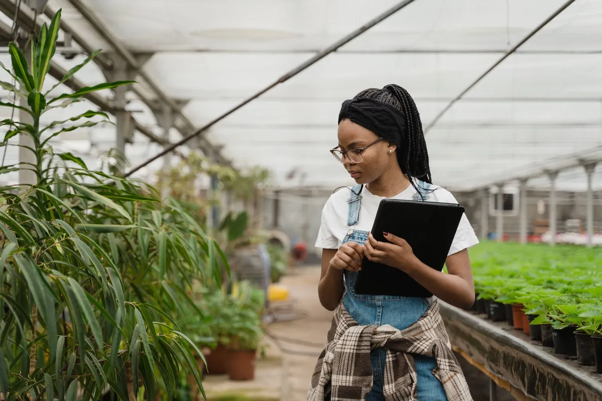 A woman in a commercial greenhouse, checking records on a tablet beside rows of young crops